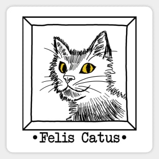 Felis Catus (Cat) Magnet